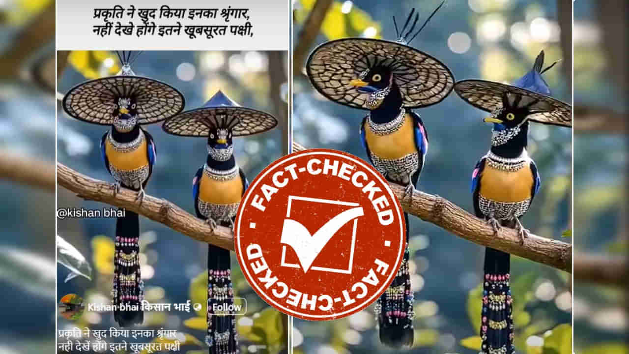 Fact Check: ವೈರಲ್ ಆಗುತ್ತಿರುವ ಈ ಸುಂದರ ಪಕ್ಷಿಗಳ ವಿಡಿಯೋದ ಅಸಲಿ ಕಥೆ ಏನು?: ಇಲ್ಲಿದೆ ನೋಡಿ