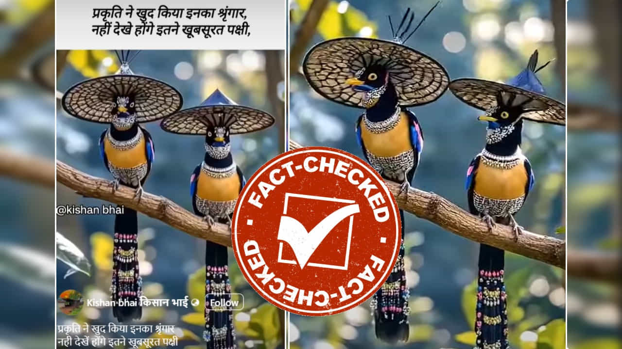 Fact Check: ವೈರಲ್ ಆಗುತ್ತಿರುವ ಈ ಸುಂದರ ಪಕ್ಷಿಗಳ ವಿಡಿಯೋದ ಅಸಲಿ ಕಥೆ ಏನು?: ಇಲ್ಲಿದೆ ನೋಡಿ