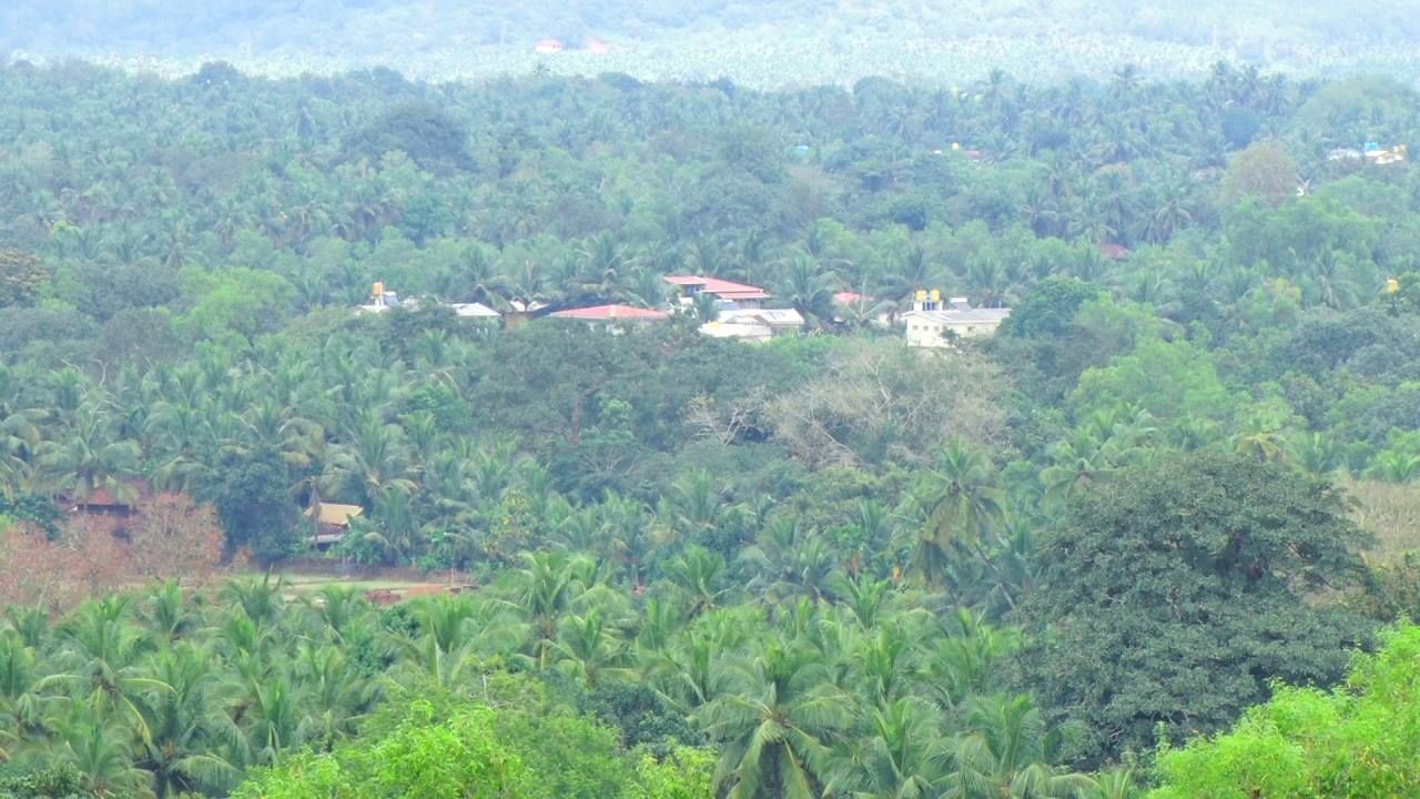 ಹಳಕಾರ ಗ್ರಾಮದ ಜನರು ಶತಮಾನಗಳಿಂದಲೂ ಕಾಡನ್ನು ದೇವರಂತೆ ಆರಾಧಿಸುತ್ತಾ ಬಂದಿದ್ದಾರೆ. 425 ಏಕರೆ ವಿಸ್ತಿರ್ಣದ ಹಳಕಾರ ಗ್ರಾಮದಲ್ಲಿದೆ 219 ಏಕರೆ ಪ್ರದೇಶದಲ್ಲಿ ಗಿಡ-ಮರಗಳೇ ಇವೆ. 1920ರಿಂದ ಇದುವರೆಗೂ ಒಂದೇ ಒಂದು ಅಡಿ ಅರಣ್ಯ ಭೂಮಿಯನ್ನು ಗ್ರಾಮಸ್ಥರು ಅತಿಕ್ರಮಣ ಮಾಡದೆ ಉಳಿಸಿಕೊಂಡಿದ್ದಾರೆ. 