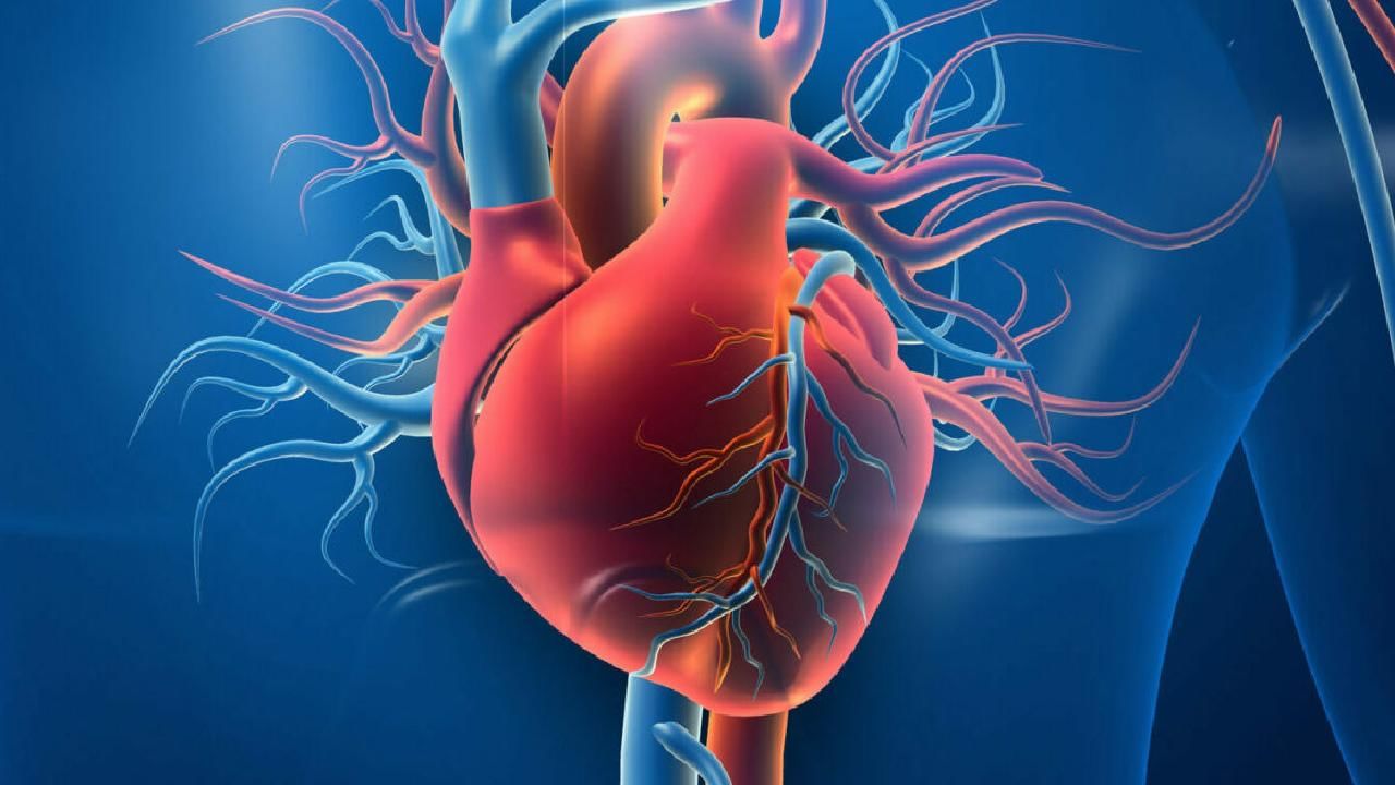 Heart Attack Risk: ಚಳಿಗಾಲದಲ್ಲಿ ಹೃದಯಾಘಾತ ಹೆಚ್ಚಾಗಿ ಸಂಭವಿಸಲು ಕಾರಣವೇನು? Heart Attack Risk: ಚಳಿಗಾಲದಲ್ಲಿ ಹೃದಯಾಘಾತ ಹೆಚ್ಚಾಗಿ ಸಂಭವಿಸಲು ಕಾರಣವೇನು?