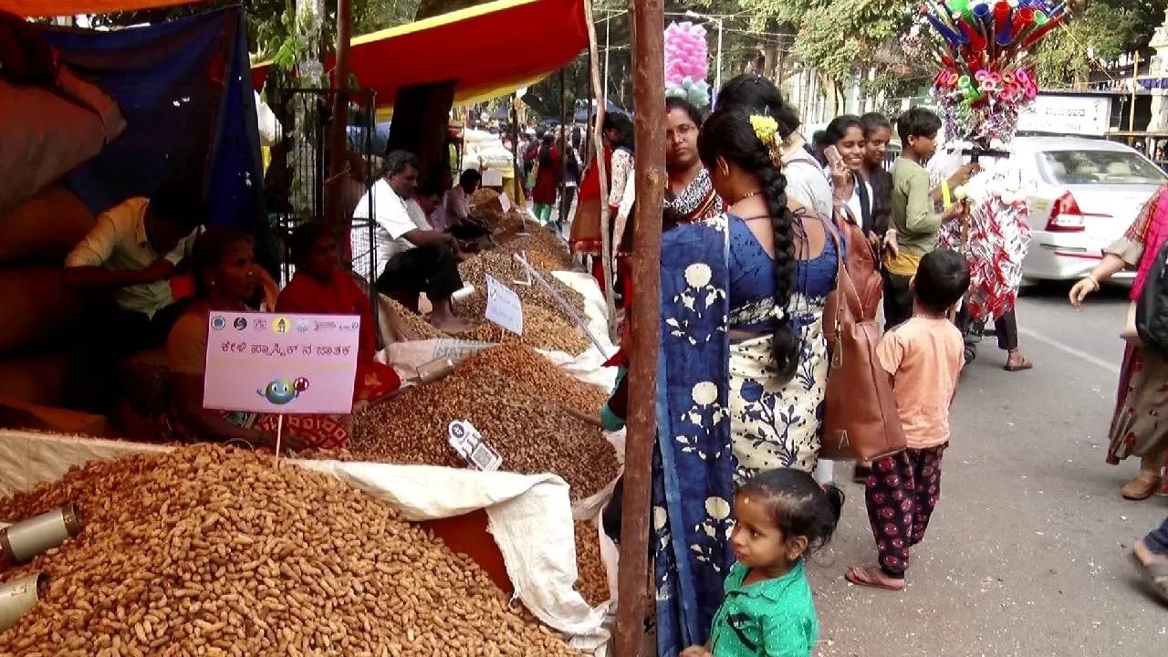 ಮಲ್ಲೇಶ್ವರಂ ಕಡಲೆ ಪರಿಷೆಗೆ ದಿನಗಣನೆ: ಈ ಬಾರಿಯ ವಿಶೇಷವೇನು? ಇಲ್ಲಿದೆ ನೋಡಿ ಮಲ್ಲೇಶ್ವರಂ ಕಡಲೆ ಪರಿಷೆಗೆ ದಿನಗಣನೆ: ಈ ಬಾರಿಯ ವಿಶೇಷವೇನು? ಇಲ್ಲಿದೆ ನೋಡಿ