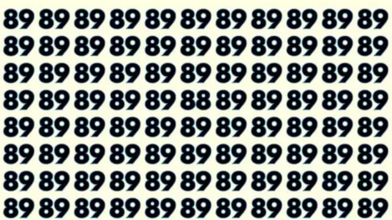 Optical Illusion: 89 ರ ನಡುವೆ ಅಡಗಿರುವ ನಂಬರ್ 88 ಅನ್ನು ಹುಡುಕಬಲ್ಲಿರಾ? Optical Illusion: 89 ರ ನಡುವೆ ಅಡಗಿರುವ ನಂಬರ್ 88 ಅನ್ನು ಹುಡುಕಬಲ್ಲಿರಾ?