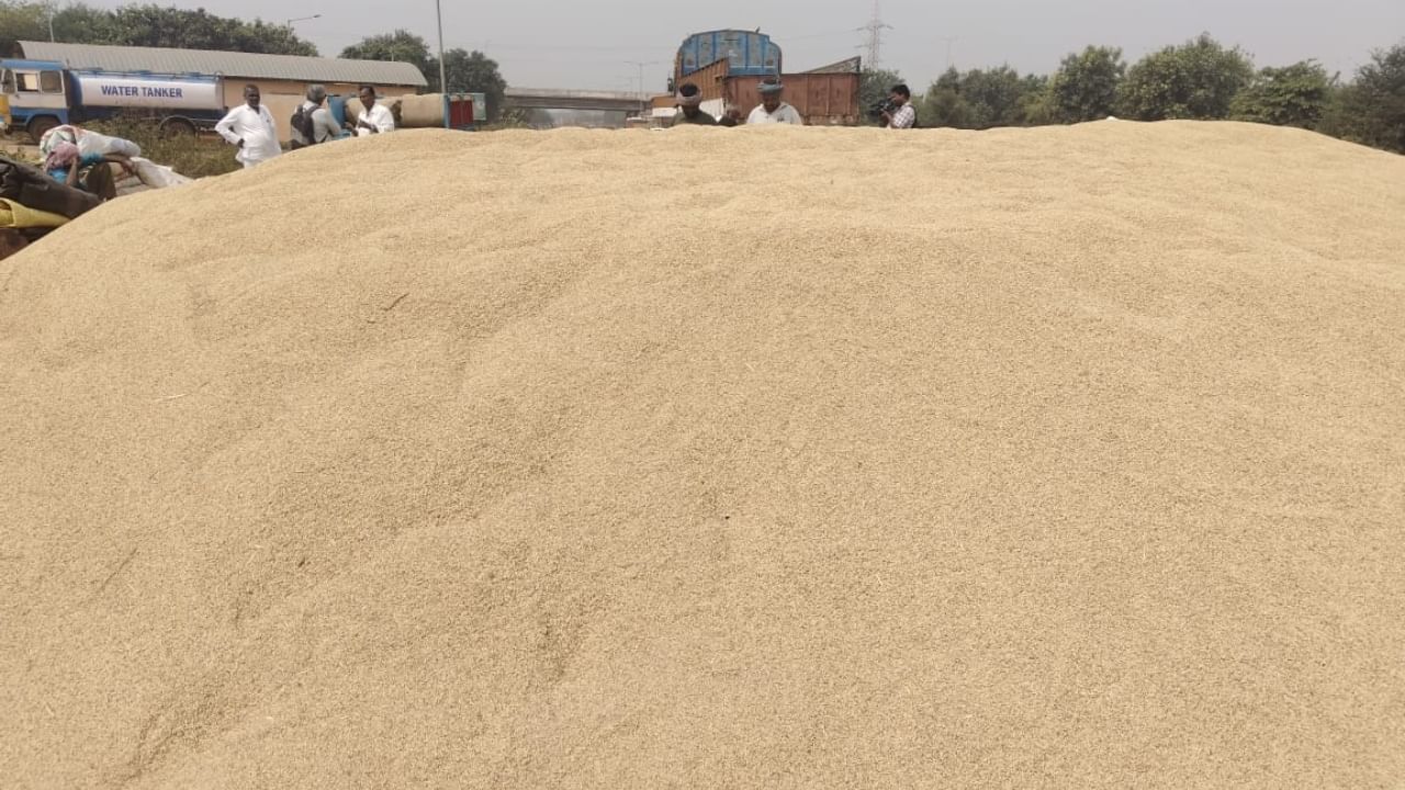 Koppal Rice Crisis: Karnataka paddy Farmers Face Ruin Amidst Price Crash