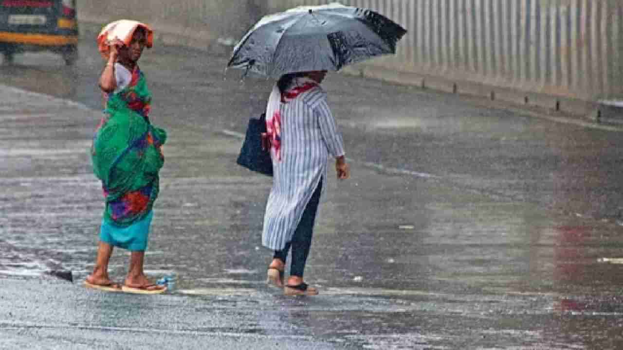 Bengaluru Rain: ಬೆಂಗಳೂರಿನಲ್ಲಿ ಮಳೆ, ಬಿಸಿಲ ಕಣ್ಣಾ ಮುಚ್ಚಾಲೆ, ಗುರುವಾರ ಬೆಳಗ್ಗೆಯಿಂದಲೇ ಹಲವೆಡೆ ತುಂತುರು ಮಳೆ