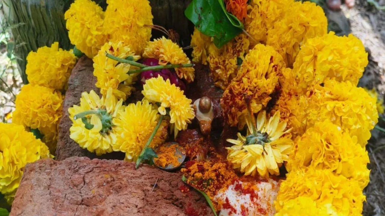 ಕಾರ್ತಿಕ ಮಾಸದಲ್ಲಿ ನಡೆಯಿತು ದೊಡ್ಡ ಪವಾಡ! ತೆಂಗಿನ ಮರದ ಬೇರುಗಳ ನಡುವೆ ಶಿವಲಿಂಗ ಉದ್ಭವ ಕಾರ್ತಿಕ ಮಾಸದಲ್ಲಿ ನಡೆಯಿತು ದೊಡ್ಡ ಪವಾಡ! ತೆಂಗಿನ ಮರದ ಬೇರುಗಳ ನಡುವೆ ಶಿವಲಿಂಗ ಉದ್ಭವ