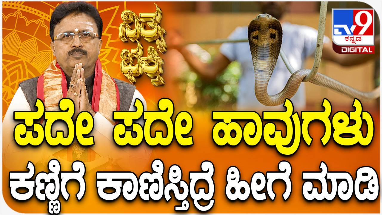 4 ವರ್ಷಗಳ ಬಳಿಕ ವೈಟ್​ಹೌಸ್​ನಲ್ಲಿ ಡೊನಾಲ್ಡ್ ಟ್ರಂಪ್-ಜೋ ಬೈಡೆನ್ ಭೇಟಿ