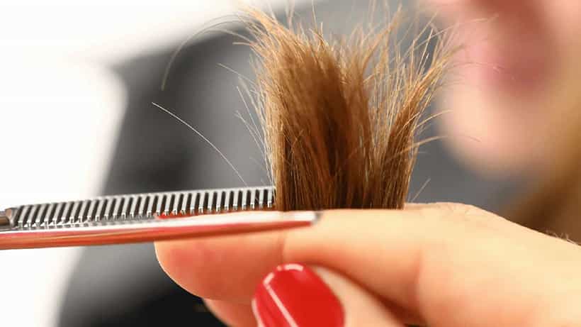 Hair Care: ಸೀಳು ಕೂದಲು ಸಮಸ್ಯೆಗೆ ಈ ಸಿಂಪಲ್ ಮನೆಮದ್ದು ಟ್ರೈ ಮಾಡಿ