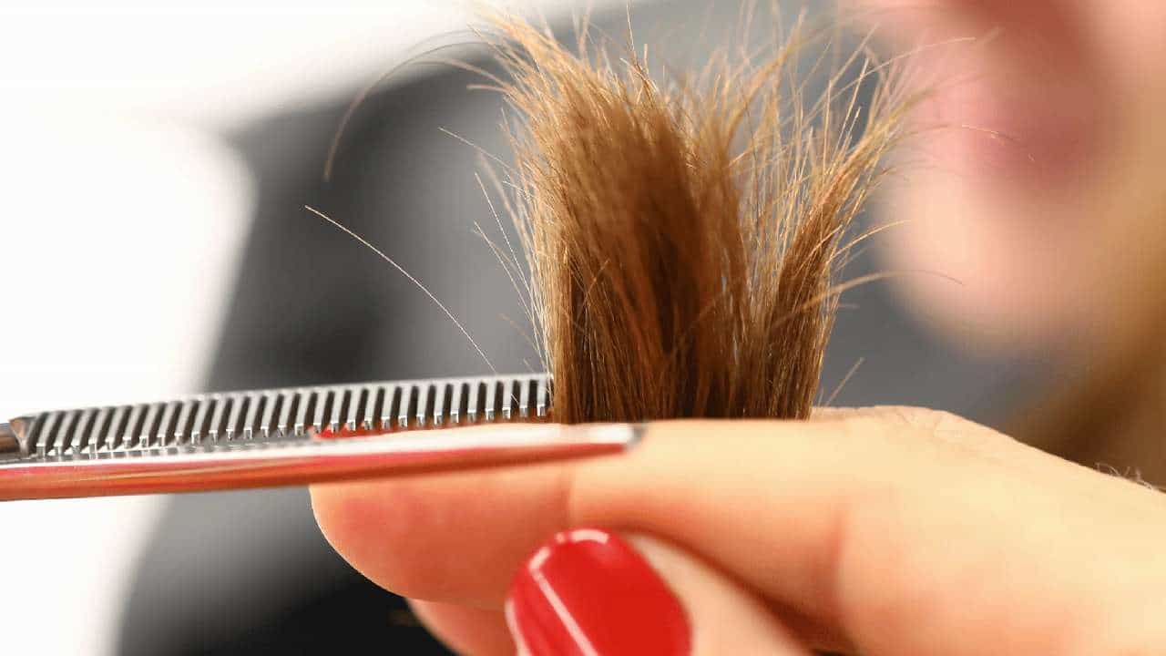 Hair Care: ಸೀಳು ಕೂದಲು ಸಮಸ್ಯೆಗೆ ಈ ಸಿಂಪಲ್ ಮನೆಮದ್ದು ಟ್ರೈ ಮಾಡಿ Hair Care: ಸೀಳು ಕೂದಲು ಸಮಸ್ಯೆಗೆ ಈ ಸಿಂಪಲ್ ಮನೆಮದ್ದು ಟ್ರೈ ಮಾಡಿ
