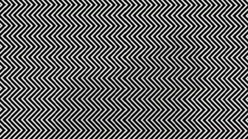 Optical Illusion: ಕಪ್ಪು ಬಿಳುಪು ಗೆರೆಗಳಿರುವ ಈ ಚಿತ್ರದಲ್ಲಿ ಅಡಗಿರುವ ಪ್ರಾಣಿ ಯಾವುದು ಎಂದು ಹುಡುಕಬಲ್ಲಿರಾ?