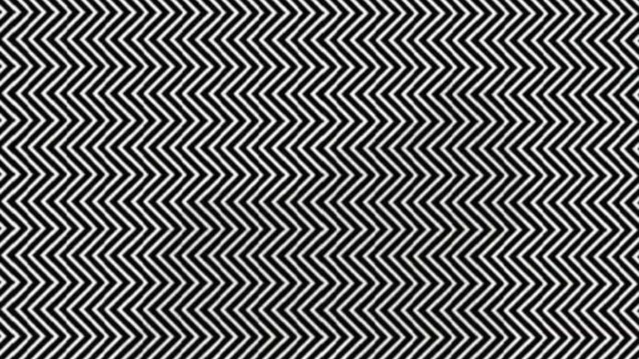 Optical Illusion: ಕಪ್ಪು ಬಿಳುಪು ಗೆರೆಗಳಿರುವ ಈ ಚಿತ್ರದಲ್ಲಿ ಅಡಗಿರುವ ಪ್ರಾಣಿ ಯಾವುದು ಎಂದು ಹುಡುಕಬಲ್ಲಿರಾ? Optical Illusion: ಕಪ್ಪು ಬಿಳುಪು ಗೆರೆಗಳಿರುವ ಈ ಚಿತ್ರದಲ್ಲಿ ಅಡಗಿರುವ ಪ್ರಾಣಿ ಯಾವುದು ಎಂದು ಹುಡುಕಬಲ್ಲಿರಾ?