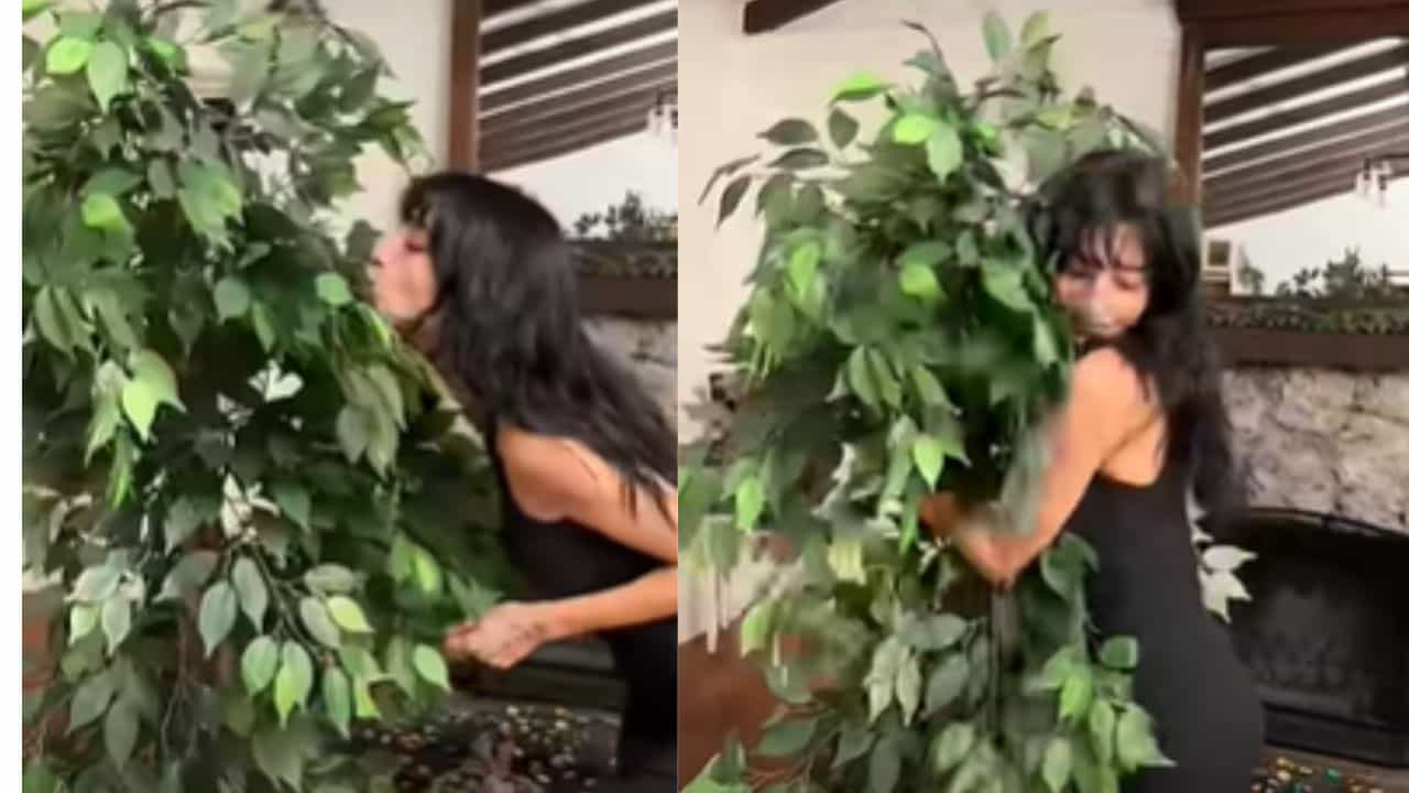 Viral: ಹುಡುಗರ ಸಹವಾಸವೇ ಬೇಡಪ್ಪಾ ಅಂತ ಮರದೊಂದಿಗೆ ಡೇಟಿಂಗ್ ಶುರು ಮಾಡಿದ ಯುವತಿ Viral: ಹುಡುಗರ ಸಹವಾಸವೇ ಬೇಡಪ್ಪಾ ಅಂತ ಮರದೊಂದಿಗೆ ಡೇಟಿಂಗ್ ಶುರು ಮಾಡಿದ ಯುವತಿ