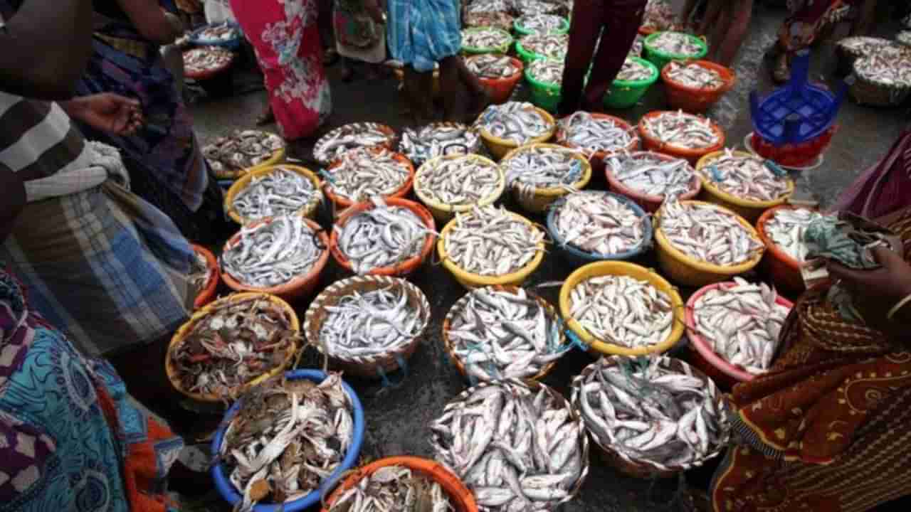 World Fisheries Day 2024 : ಮತ್ಸ್ಯೋದ್ಯಮದಲ್ಲಿ ಭಾರತಕ್ಕೆ ಎಷ್ಟನೇ ಸ್ಥಾನ? ಪ್ರಧಾನ ಮಂತ್ರಿ ಮತ್ಸ್ಯ ಸಂಪದ ಯೋಜನೆಯ ಗುರಿಯೇನು?