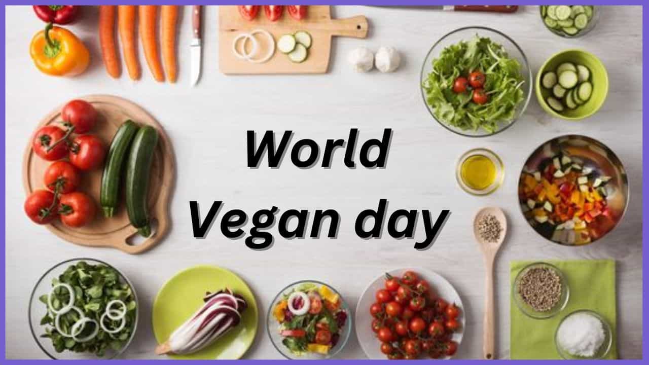 World Vegan day 2024: ದೇಶದಲ್ಲೇ ಅತೀ ಹೆಚ್ಚು ಸಸ್ಯಾಹಾರವನ್ನು ಯಾವ ನಗರದ ಜನರು ಸೇವಿಸುತ್ತಾರೆ ಗೊತ್ತಾ? ಇಲ್ಲಿದೆ ಮಾಹಿತಿ World Vegan day 2024: ದೇಶದಲ್ಲೇ ಅತೀ ಹೆಚ್ಚು ಸಸ್ಯಾಹಾರವನ್ನು ಯಾವ ನಗರದ ಜನರು ಸೇವಿಸುತ್ತಾರೆ ಗೊತ್ತಾ? ಇಲ್ಲಿದೆ ಮಾಹಿತಿ