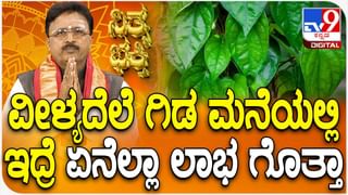 Daily Horoscope: ಈ ರಾಶಿಯವರ ಉದ್ದೇಶಗಳು ಇಂದು ಇಡೇರಲಿವೆ