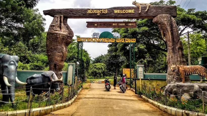 ಚಾಮರಾಜನಗರ: ಬಿಆರ್ಟಿ ಹುಲಿ ಸಂರಕ್ಷಿತಾರಣ್ಯದಲ್ಲಿ 2 ಹೊಸ ಸಫಾರಿ ಕೇಂದ್ರ ತೆರೆಯಲು ಚಿಂತನೆ