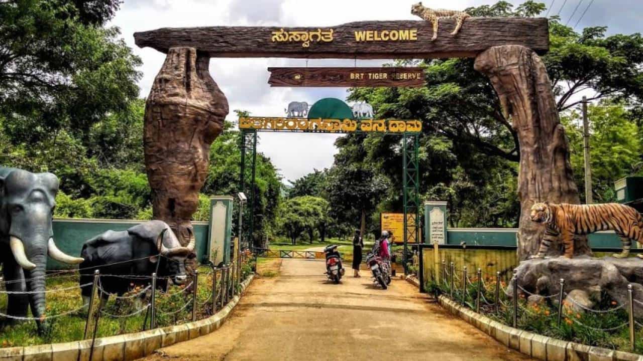 ಚಾಮರಾಜನಗರ: ಬಿಆರ್ಟಿ ಹುಲಿ ಸಂರಕ್ಷಿತಾರಣ್ಯದಲ್ಲಿ 2 ಹೊಸ ಸಫಾರಿ ಕೇಂದ್ರ ತೆರೆಯಲು ಚಿಂತನೆ ಚಾಮರಾಜನಗರ: ಬಿಆರ್ಟಿ ಹುಲಿ ಸಂರಕ್ಷಿತಾರಣ್ಯದಲ್ಲಿ 2 ಹೊಸ ಸಫಾರಿ ಕೇಂದ್ರ ತೆರೆಯಲು ಚಿಂತನೆ