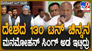 New Year 2025: ಮೈಸೂರಿನ ಅರಮನೆ ಬಳಿ ಹೊಸ ವರ್ಷಾಚರಣೆ ರದ್ದು, ಕಾರಣ?