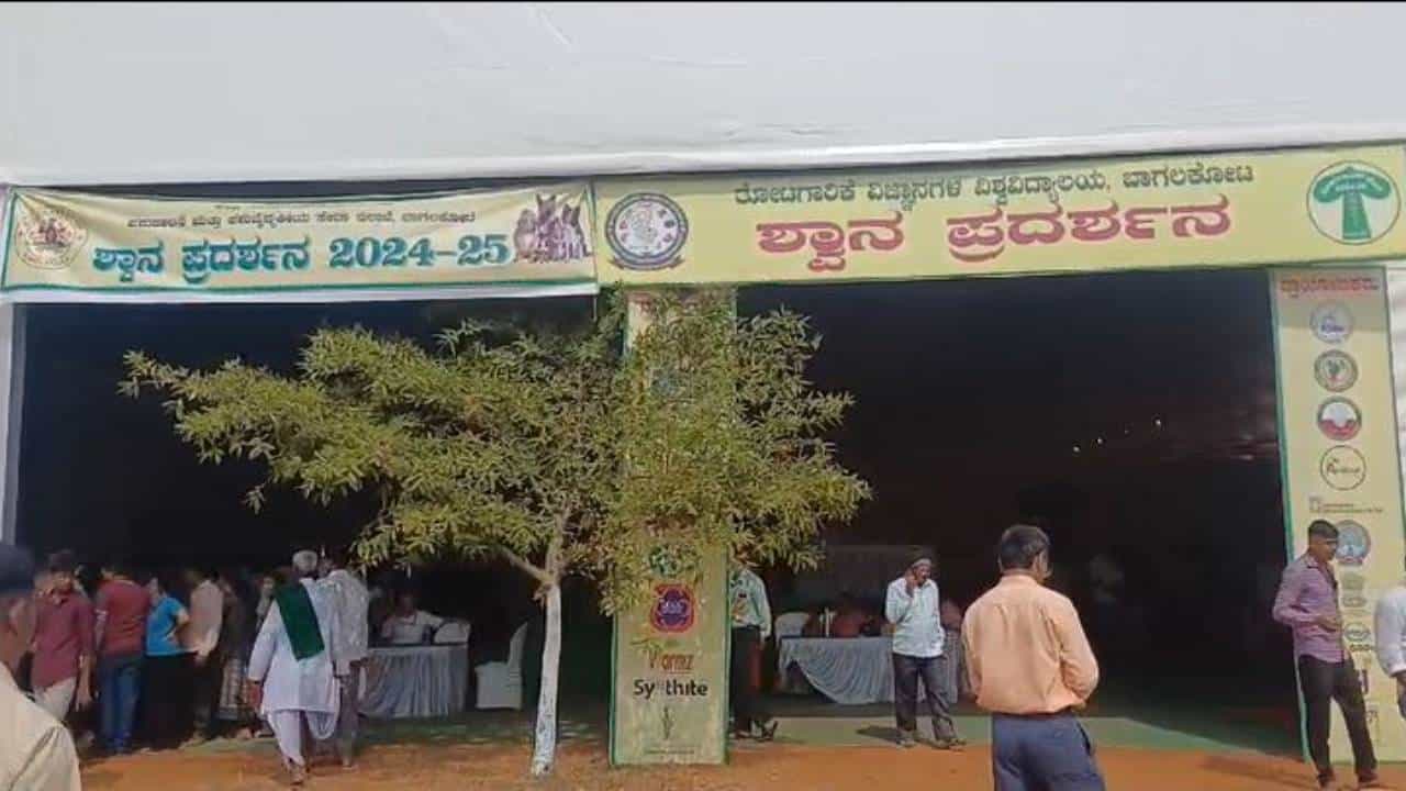 ಬಾಗಲಕೋಟೆ ತೋಟಗಾರಿಕೆ ಮೇಳದಲ್ಲಿ ಶ್ವಾನ ಪ್ರದರ್ಶನ ಎಲ್ಲರ ಗಮನ ಸೆಳೆದಿದೆ. ಪಶು ಇಲಾಖೆ ಸಹಯೋಗದಲ್ಲಿ ಶ್ವಾನ ಪ್ರದರ್ಶನ ಆಯೋಜಿಸಲಾಗಿತ್ತು. ದೇಶಿ ತಳಿ ಮುಧೋಳ ಶ್ವಾನ ಸೇರಿದಂತೆ ವಿವಿಧ ತಳಿಯ ಶ್ವಾನಗಳ ಪ್ರದರ್ಶನ ಮಾಡಲಾಗಿದೆ.