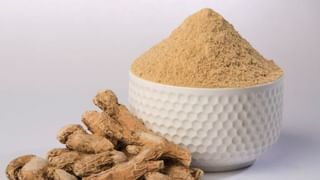 ಟೀ ಬ್ಯಾಗ್‌ನಿಂದ ಬಿಡುಗಡೆ ಆಗುತ್ತೇ ಶತಕೋಟಿ ಹಾನಿಕಾರಕ ಮೈಕ್ರೋಪ್ಲಾಸ್ಟಿಕ್‌ಗಳು: ಅಧ್ಯಯನ