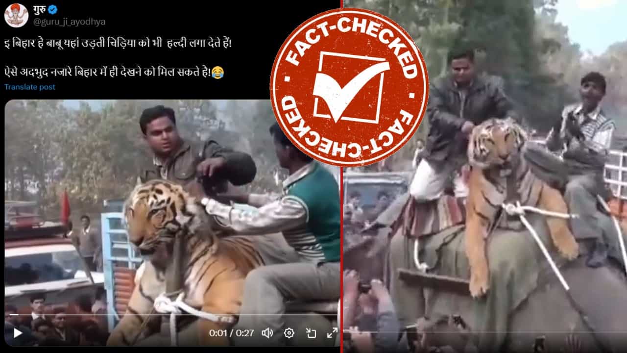 Fact Check: ಬಿಹಾರದಲ್ಲಿ ಆನೆ ಸವಾರಿ ಮಾಡಿದ ಹುಲಿ?: ಈ ವಿಡಿಯೋದ ನಿಜವಾದ ಕಥೆ ಏನು? Fact Check: ಬಿಹಾರದಲ್ಲಿ ಆನೆ ಸವಾರಿ ಮಾಡಿದ ಹುಲಿ?: ಈ ವಿಡಿಯೋದ ನಿಜವಾದ ಕಥೆ ಏನು?