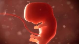 West Bengal Bomb Blast: ಮುರ್ಷಿದಾಬಾದ್​ನಲ್ಲಿ ಬಾಂಬ್ ತಯಾರಿಸುವಾಗ ಸ್ಫೋಟ, ಮೂವರು ಸಾವು