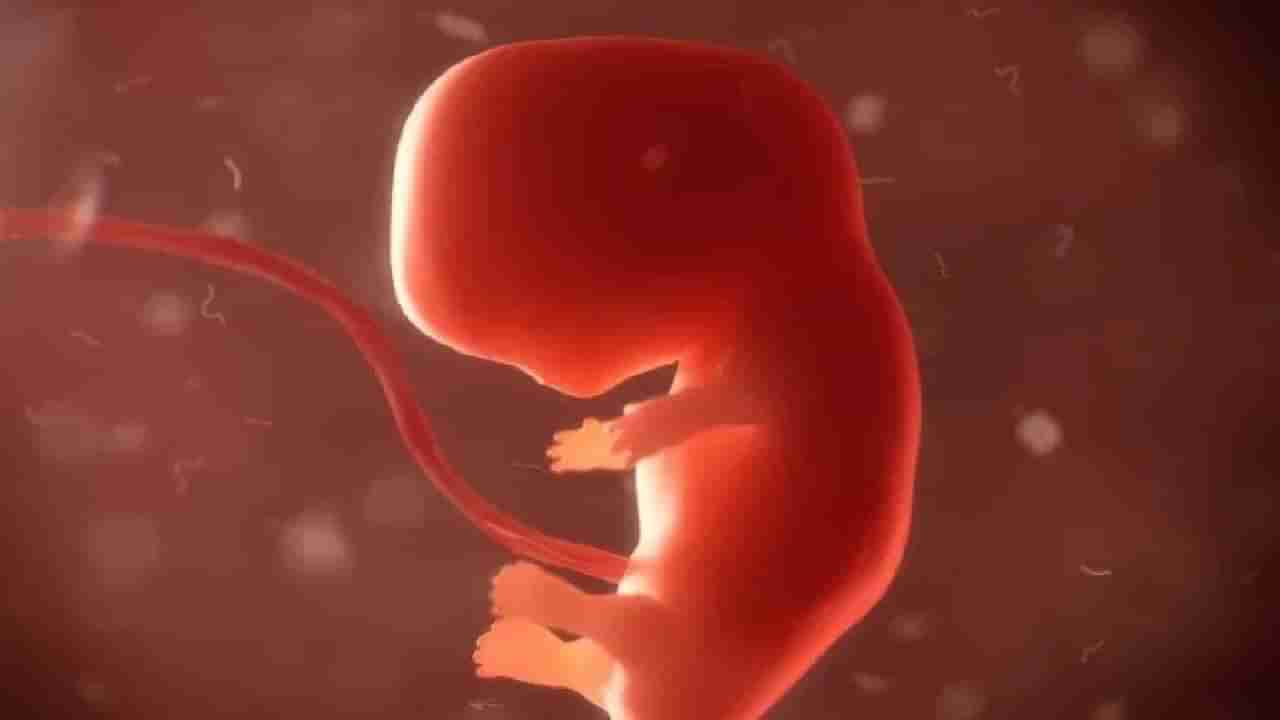 ಉತ್ತರ ಪ್ರದೇಶ: ಮನೆಯ ಟಾಯ್ಲೆಟ್ ಪೈಪ್ನಲ್ಲಿ 6 ತಿಂಗಳ ಭ್ರೂಣ ಪತ್ತೆ