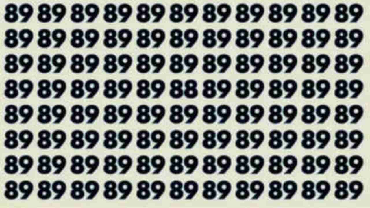 Optical Illusion: ಸಂಖ್ಯೆ 88 ಎಲ್ಲಿದೆ ಎಂದು ಪತ್ತೆ ಹಚ್ಚಲು ಸಾಧ್ಯವೇ?