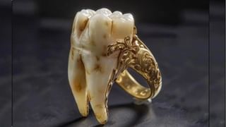 Viral: ಹಿಮ್ಮುಖವಾಗಿ ಕುಳಿತು ಹೈವೇ ರೋಡಲ್ಲಿ ಸ್ಕೂಟಿ ಓಡಿಸಿದ ವ್ಯಕ್ತಿ; ವಿಡಿಯೋ ವೈರಲ್‌