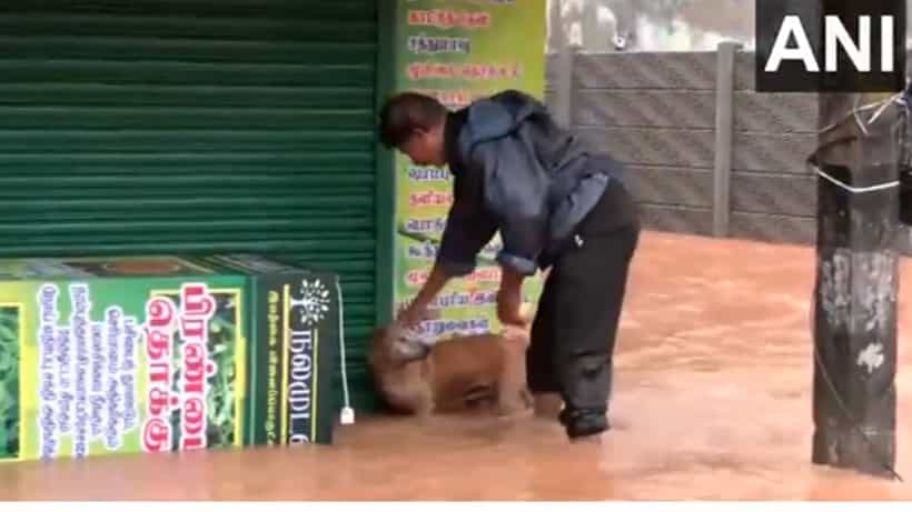 Viral: ಫೆಂಗಲ್ ಚಂಡಮಾರುತ; ಪ್ರವಾಹದ ನೀರಿನಲ್ಲಿ ಸಿಲುಕಿದ್ದ ನಾಯಿಯನ್ನು ರಕ್ಷಿಸಿ ಮಾನವೀಯತೆ ಮೆರೆದ ವ್ಯಕ್ತಿ