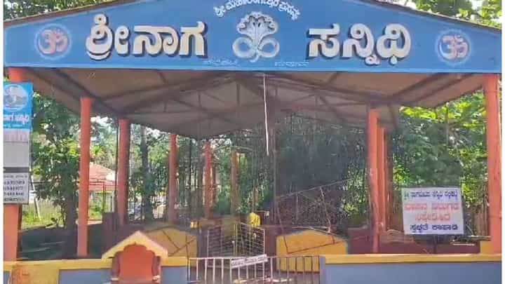 ನಾಗನ ಕಟ್ಟೆಗೆ ನುಗ್ಗಿ ದಾಂಧಲೆ ನಡೆಸಿದ ಮುಸ್ಲಿಂ ಯುವಕ, ಮುಂದೇನಾಯ್ತು..? ನಾಗನ ಕಟ್ಟೆಗೆ ನುಗ್ಗಿ ದಾಂಧಲೆ ನಡೆಸಿದ ಮುಸ್ಲಿಂ ಯುವಕ, ಮುಂದೇನಾಯ್ತು..?