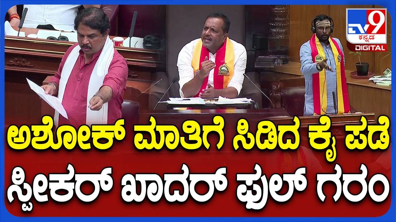 Karnataka Assembly Session; ಎರಡು ಲಕ್ಷ ಜನ ಬಂದಾಗಲೂ ಬಿಜೆಪಿ ಸರ್ಕಾರ ಹಿಂಸೆಗೆ ಆಸ್ಪದ ನೀಡಿರಲಿಲ್ಲ: ಆರ್ ಅಶೋಕ