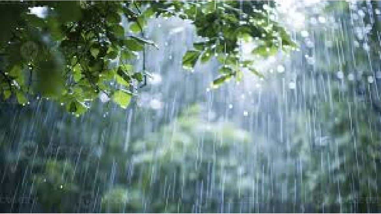 Karnataka Weather: ಮುಂದಿನ 48 ಗಂಟೆಗಳಲ್ಲಿ ಬೆಂಗಳೂರು ಸೇರಿ 20ಕ್ಕೂ ಅಧಿಕ ಜಿಲ್ಲೆಗಳಲ್ಲಿ ಮಳೆ Karnataka Weather: ಮುಂದಿನ 48 ಗಂಟೆಗಳಲ್ಲಿ ಬೆಂಗಳೂರು ಸೇರಿ 20ಕ್ಕೂ ಅಧಿಕ ಜಿಲ್ಲೆಗಳಲ್ಲಿ ಮಳೆ