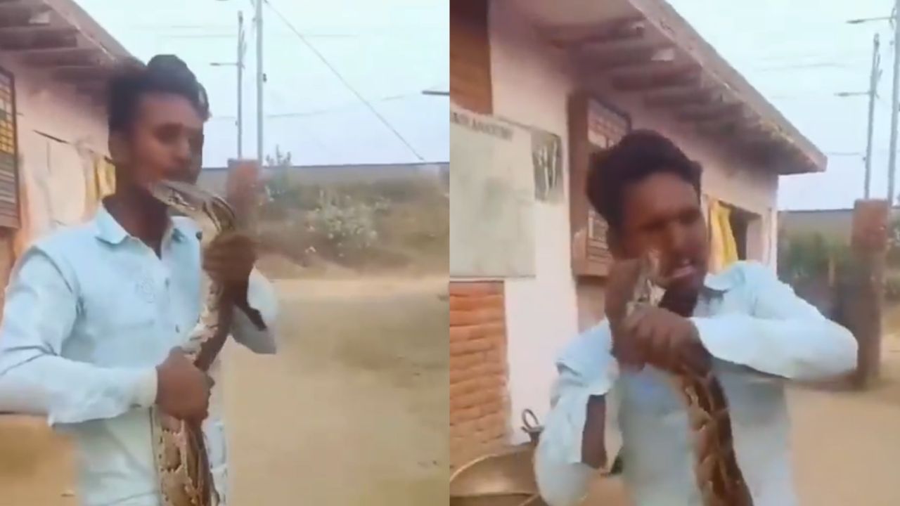 Viral: ದೈತ್ಯ ಹೆಬ್ಬಾವಿನ ಜೊತೆ ಸರಸವಾಡಲು ಹೋಗಿ ಪಜೀತಿಗೆ ಸಿಲುಕಿದ ಯುವಕ; ವಿಡಿಯೋ ವೈರಲ್‌