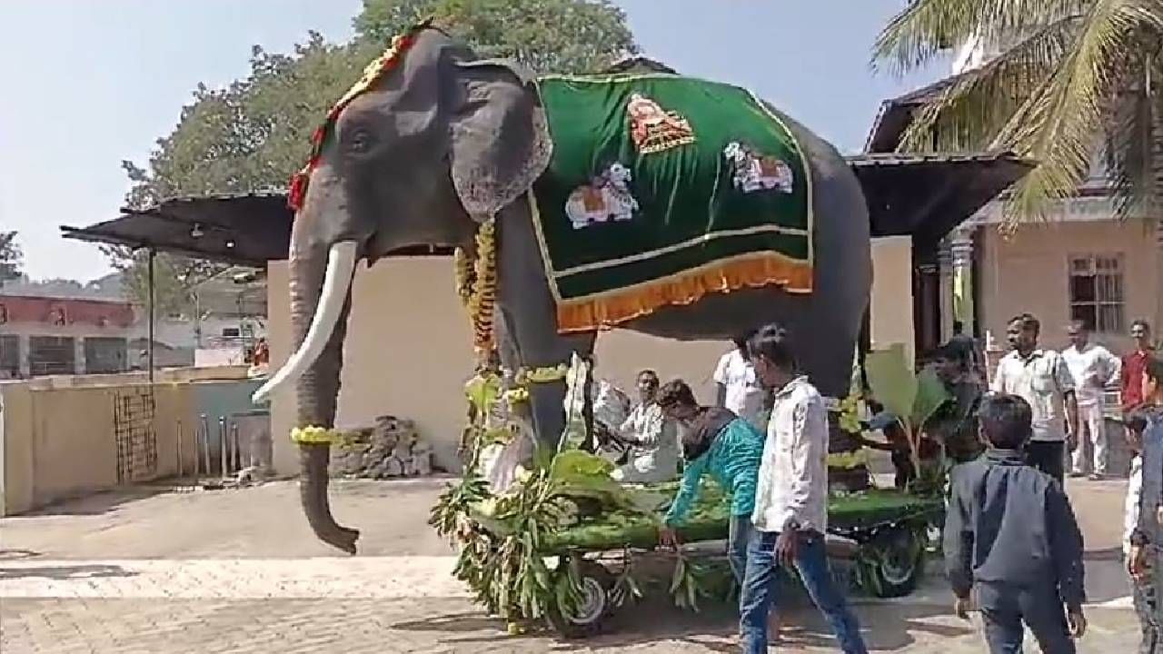 ಇನ್ನು ನೈಸರ್ಗಿಕ ಆನೆಯನ್ನು ನೀಡುವುದಕ್ಕೆ ಹಲವು ನಿಯಮಗಳು ಅಡ್ಡಿ ಬರುವ ಹಿನ್ನೆಲೆಯಲ್ಲಿ ಇದೀಗ ರೋಬೋಟಿಕ್ ಆನೆ ದಾನ ನೀಡುವವರ ಸಂಖ್ಯೆಯೂ ಹೆಚ್ಚಾಗಿದೆ. ಕರ್ನಾಟಕದಲ್ಲಿ ಯಡಿಯೂರು ಸಿದ್ಧಲಿಂಗೇಶ್ವರ ದೇವಸ್ಥಾನದಲ್ಲಿಯೂ ರೋಬೋಟಿಕ್ ಆನೆಯಿದೆ.