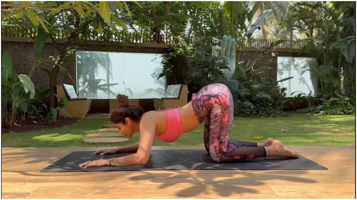 ಬೆನ್ನಿಗೆ ವ್ಯಾಯಾಮ ನೀಡುವ ಯೋಗಾಸನ ಕಲಿಸಿದ ಶಿಲ್ಪಾ ಶೆಟ್ಟಿ; ವಿಡಿಯೋ ನೋಡಿ.. ಬೆನ್ನಿಗೆ ವ್ಯಾಯಾಮ ನೀಡುವ ಯೋಗಾಸನ ಕಲಿಸಿದ ಶಿಲ್ಪಾ ಶೆಟ್ಟಿ; ವಿಡಿಯೋ ನೋಡಿ..