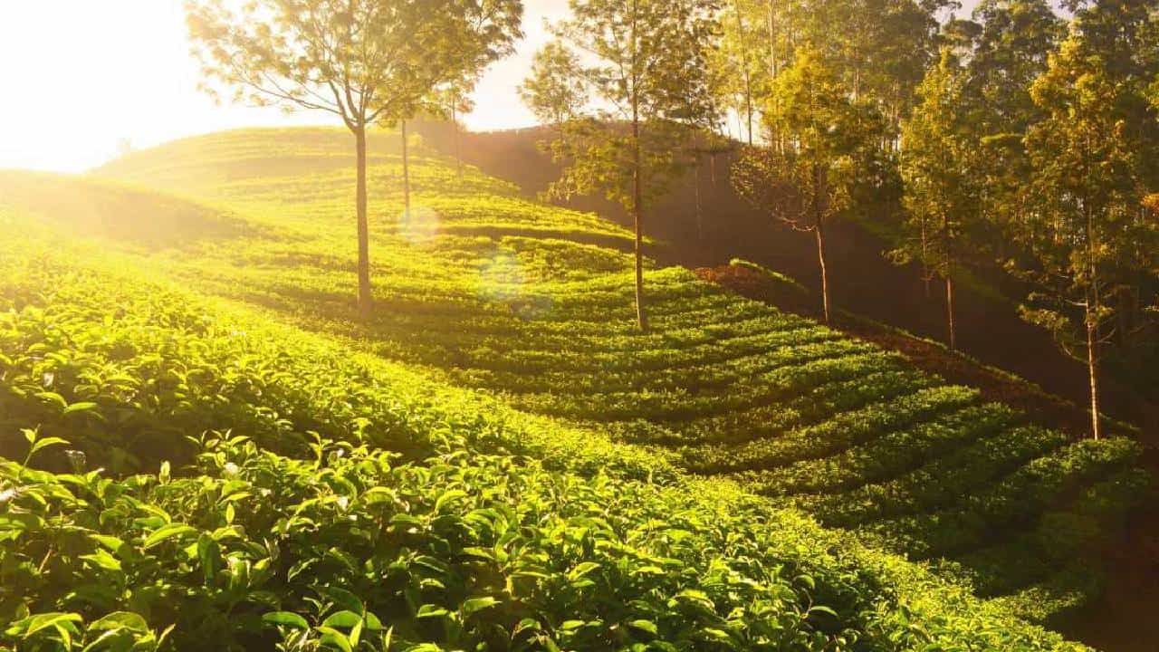 Karnataka Weather: ರಾಜ್ಯದೆಲ್ಲೆಡೆ ಇಣುಕಿ ಮಾಯವಾದ ಚಳಿ, ಮಳೆ ಕಡಿಮೆ, ಬಿಸಿಲು ಶುರು Karnataka Weather: ರಾಜ್ಯದೆಲ್ಲೆಡೆ ಇಣುಕಿ ಮಾಯವಾದ ಚಳಿ, ಮಳೆ ಕಡಿಮೆ, ಬಿಸಿಲು ಶುರು