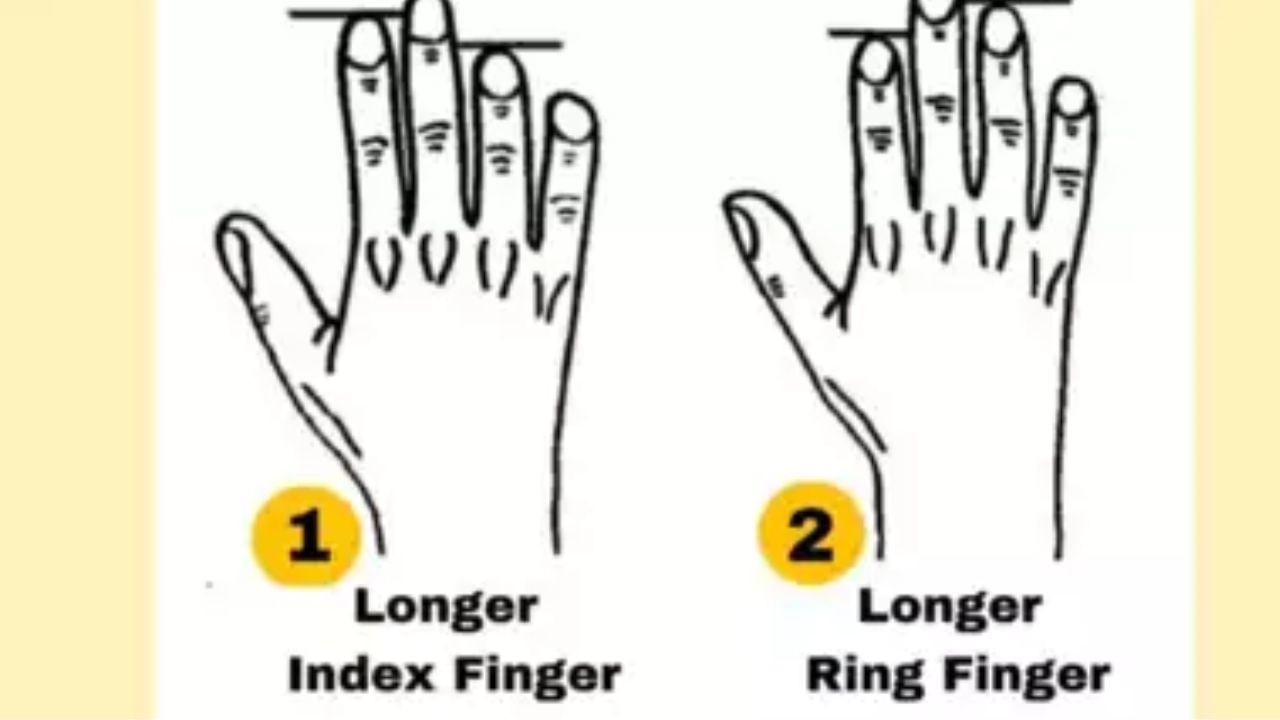 Personality Test : ನಿಮ್ಮ ಕೈ ಬೆರಳುಗಳ ಆಕಾರದಲ್ಲಿ ಅಡಗಿದೆ ನಿಮ್ಮೊಳಗಿನ ರಹಸ್ಯ