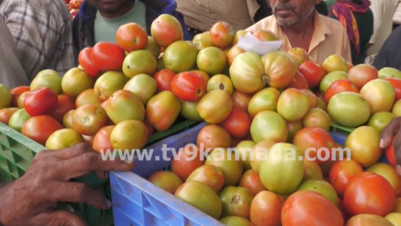 ಫೆಂಗಲ್ ಪರಿಣಾಮ: ಟೊಮೆಟೋಗೆ ಭಾರಿ ಬೇಡಿಕೆ, ದರವೂ ಹೆಚ್ಚಳ