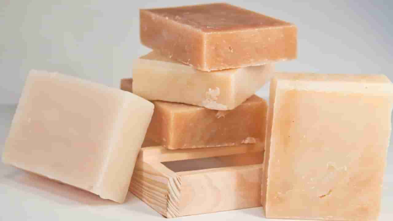 Vegan Soaps: ಹೊಳೆಯುವ, ಆರೋಗ್ಯಕರ ಚರ್ಮಕ್ಕಾಗಿ ಈ ನೈಸರ್ಗಿಕವಾದ ಸಸ್ಯಾಹಾರಿ ಸಾಬೂನುಗಳನ್ನು ಬಳಸಿ