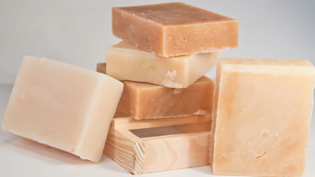 Vegan Soaps: ಹೊಳೆಯುವ, ಆರೋಗ್ಯಕರ ಚರ್ಮಕ್ಕಾಗಿ ಈ ನೈಸರ್ಗಿಕವಾದ ಸಸ್ಯಾಹಾರಿ ಸಾಬೂನುಗಳನ್ನು ಬಳಸಿ Vegan Soaps: ಹೊಳೆಯುವ, ಆರೋಗ್ಯಕರ ಚರ್ಮಕ್ಕಾಗಿ ಈ ನೈಸರ್ಗಿಕವಾದ ಸಸ್ಯಾಹಾರಿ ಸಾಬೂನುಗಳನ್ನು ಬಳಸಿ