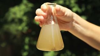 Fake Medical Degree: 8ನೇ ತರಗತಿ ಪಾಸಾದವರಿಗೂ ವೈದ್ಯಕೀಯ ಪದವಿ, 14 ನಕಲಿ ವೈದ್ಯರ ಬಂಧನ