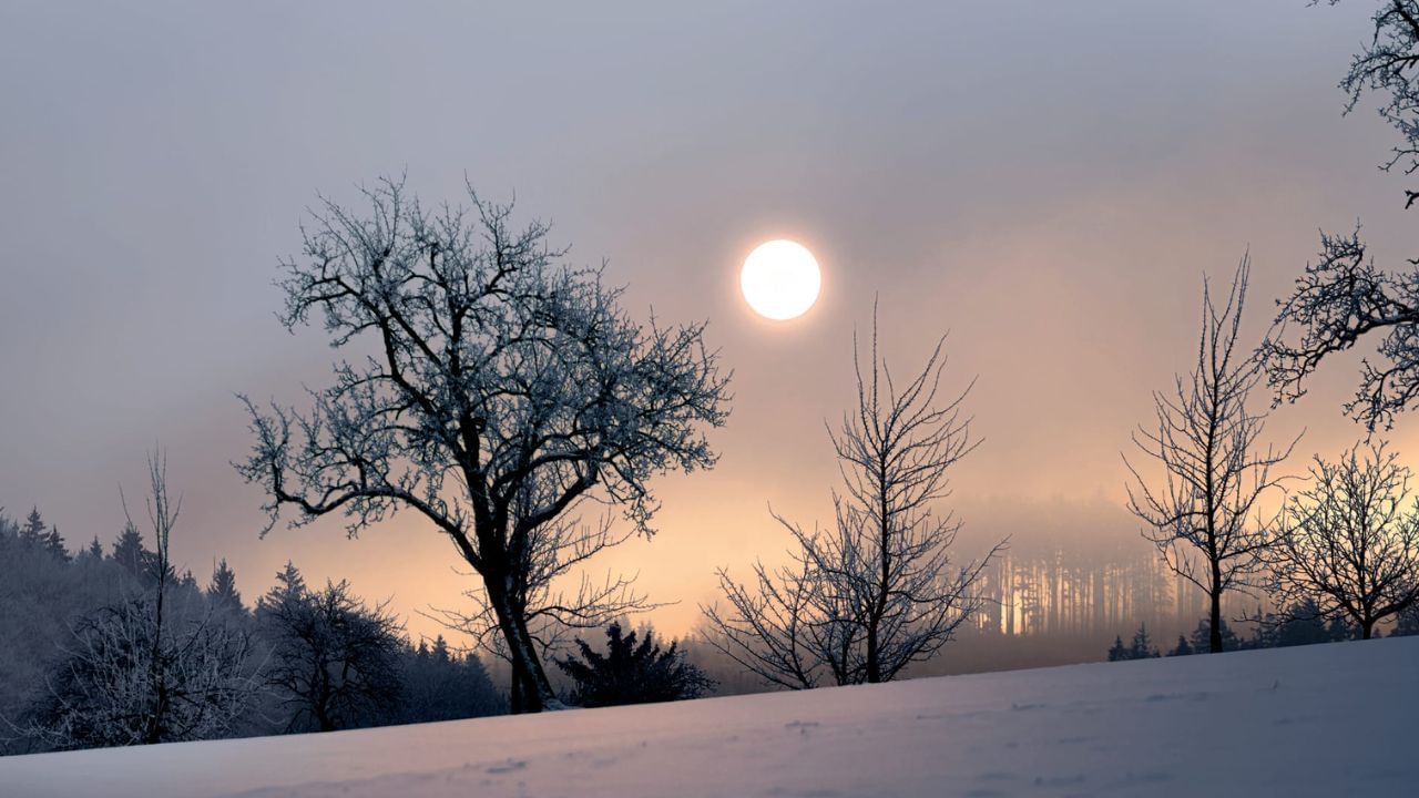 Winter Solstice 2024: ಡಿಸೆಂಬರ್ 21 ಈ ವರ್ಷದ ಕಡಿಮೆ ಹಗಲು, ದೀರ್ಘ ರಾತ್ರಿಯುಳ್ಳ ದಿನ ಏಕೆ? ಈ ದಿನದ ವಿಶೇಷತೆಯೇನು? ಇಲ್ಲಿದೆ ಮಾಹಿತಿ