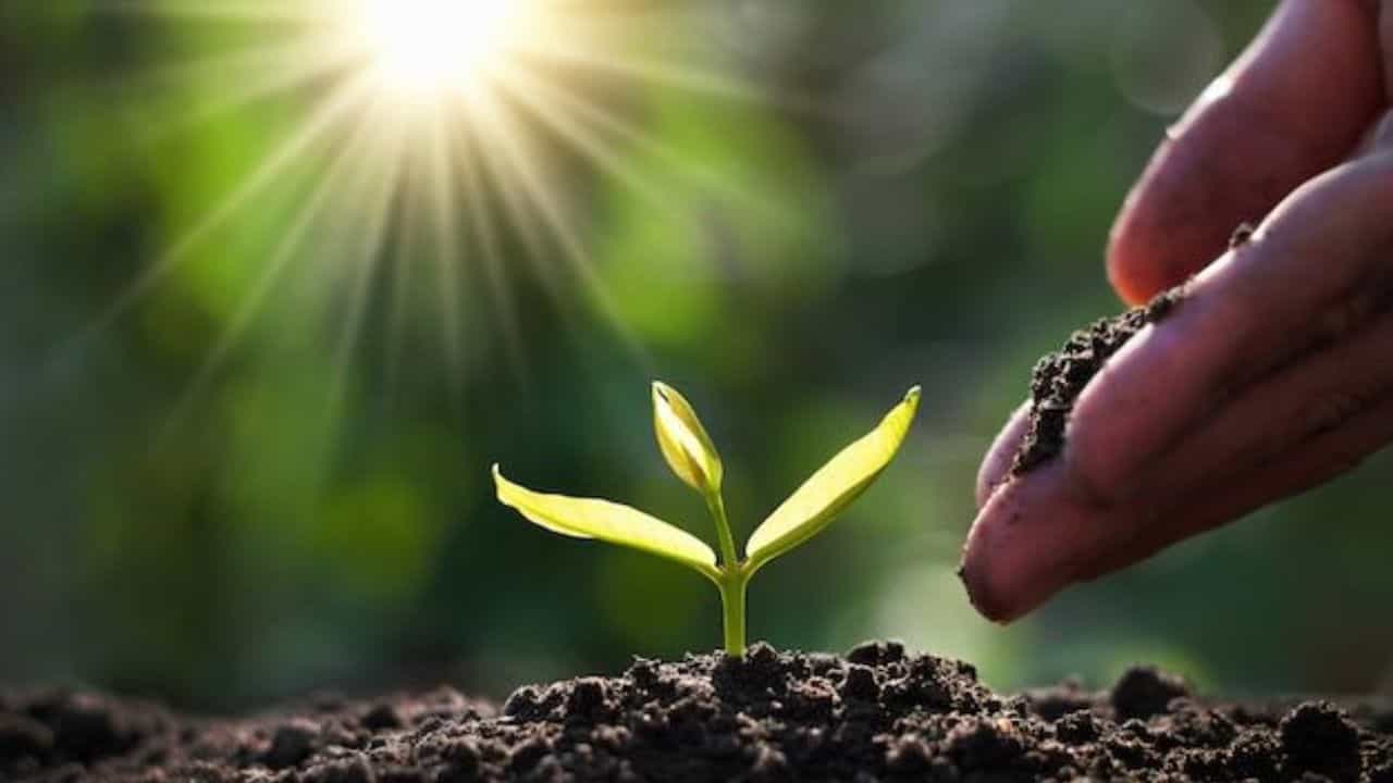 World Soil Day 2024: ಮಣ್ಣಿನಿಂದಲೇ ಬದುಕು, ಮಣ್ಣೇ ಸಕಲ ಜೀವಿಗಳ ಉಳಿವಿನ ಕೊಂಡಿ World Soil Day 2024: ಮಣ್ಣಿನಿಂದಲೇ ಬದುಕು, ಮಣ್ಣೇ ಸಕಲ ಜೀವಿಗಳ ಉಳಿವಿನ ಕೊಂಡಿ