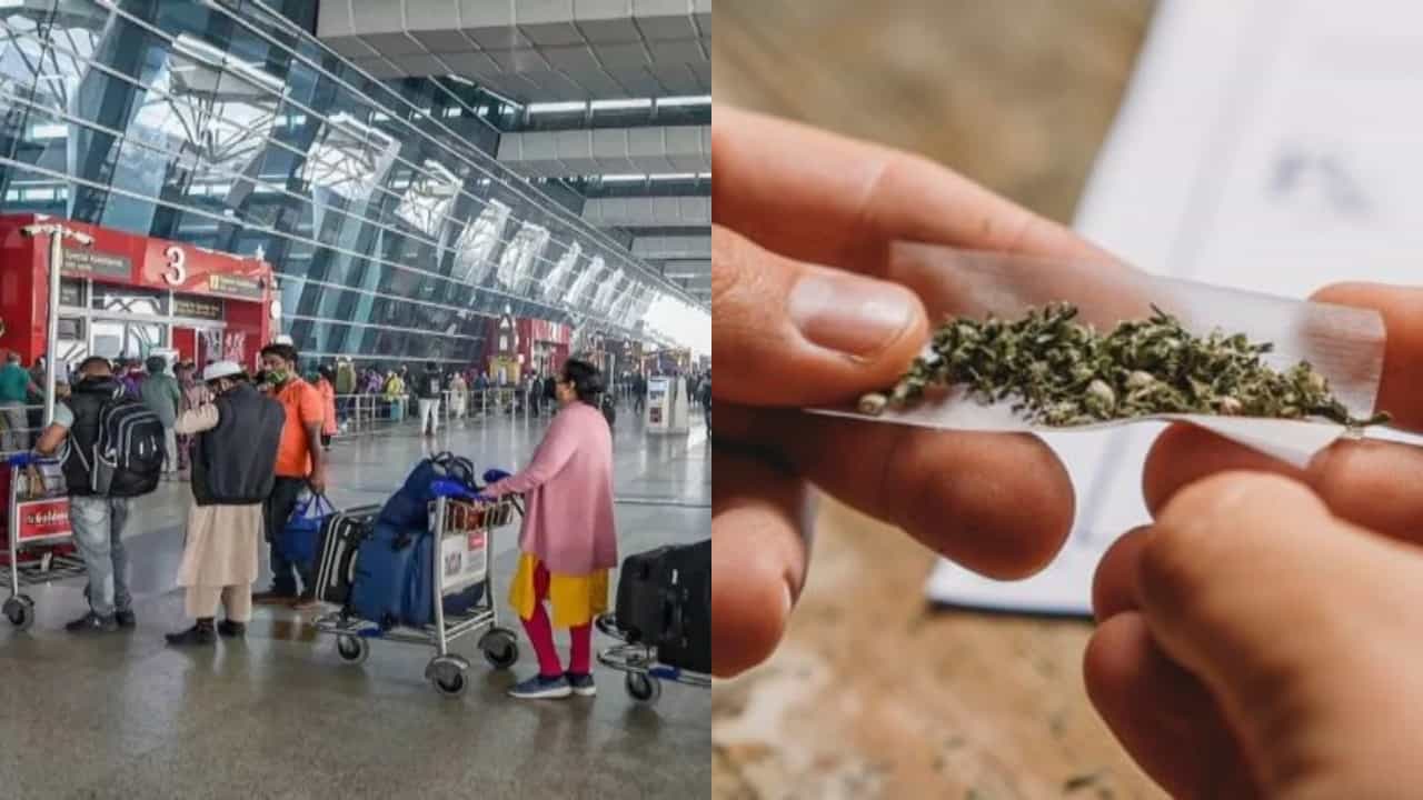 ಬ್ಯಾಂಕಾಕ್ನಿಂದ ಬೆಂಗಳೂರಿಗೆ ತಂದಿದ್ದ 23 ಕೋಟಿ ರೂ. ಮೌಲ್ಯದ ಗಾಂಜಾ ವಿಮಾನ ನಿಲ್ದಾಣದಲ್ಲಿ ವಶ ಬ್ಯಾಂಕಾಕ್ನಿಂದ ಬೆಂಗಳೂರಿಗೆ ತಂದಿದ್ದ 23 ಕೋಟಿ ರೂ. ಮೌಲ್ಯದ ಗಾಂಜಾ ವಿಮಾನ ನಿಲ್ದಾಣದಲ್ಲಿ ವಶ