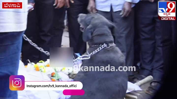 ಕುಂಭಮೇಳ ಕಾಲ್ತುಳಿತ: ಮನೆಯೊಡತಿ ಸಾವಿನ ಸುದ್ದಿ ತಿಳಿದು ಅನ್ನ, ನೀರು ಬಿಟ್ಟು ಸಾಕು ನಾಯಿಯ ಮೂಕರೋಧನೆ ಕುಂಭಮೇಳ ಕಾಲ್ತುಳಿತ: ಮನೆಯೊಡತಿ ಸಾವಿನ ಸುದ್ದಿ ತಿಳಿದು ಅನ್ನ, ನೀರು ಬಿಟ್ಟು ಸಾಕು ನಾಯಿಯ ಮೂಕರೋಧನೆ