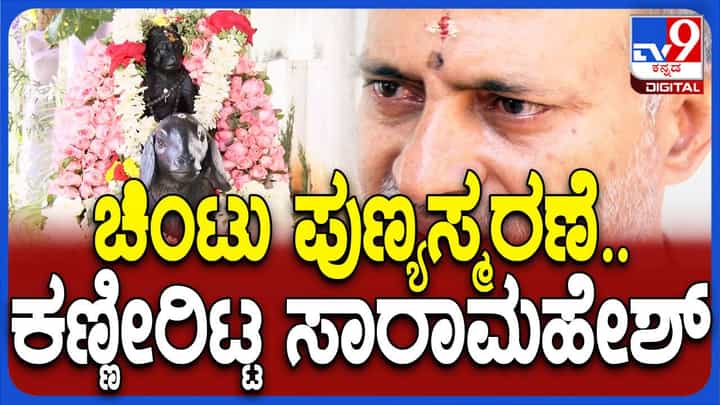 ಸಾರಾ ಮಹೇಶ್ ಮನೆ ಮಗಳಂತಿದ್ದ ಚಿಂಟು ಹೆಸರಿನ ಕೋತಿಗೆ ಇವತ್ತು 5ನೇ ವರ್ಷದ ಪುಣ್ಯಸ್ಮರಣೆ ಸಾರಾ ಮಹೇಶ್ ಮನೆ ಮಗಳಂತಿದ್ದ ಚಿಂಟು ಹೆಸರಿನ ಕೋತಿಗೆ ಇವತ್ತು 5ನೇ ವರ್ಷದ ಪುಣ್ಯಸ್ಮರಣೆ