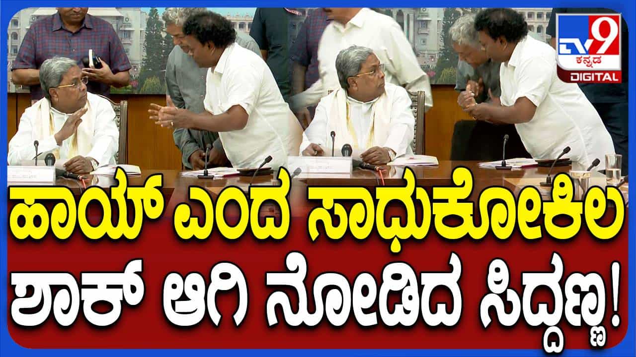 ಅಂತಾರಾಷ್ಟ್ರೀಯ ಚಲನಚಿತ್ರೋತ್ಸವಕ್ಕೆ ಸಂಬಂಧಿಸಿದಂತೆ ಕ್ಷೇತ್ರದ ಗಣ್ಯರೊಂದಿಗೆ ಸಭೆ ನಡೆಸಿದ ಸಿದ್ದರಾಮಯ್ಯ ಅಂತಾರಾಷ್ಟ್ರೀಯ ಚಲನಚಿತ್ರೋತ್ಸವಕ್ಕೆ ಸಂಬಂಧಿಸಿದಂತೆ ಕ್ಷೇತ್ರದ ಗಣ್ಯರೊಂದಿಗೆ ಸಭೆ ನಡೆಸಿದ ಸಿದ್ದರಾಮಯ್ಯ