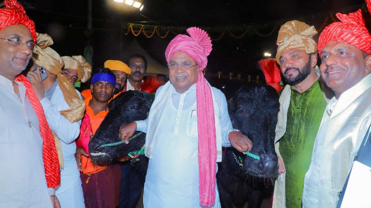 ತುಳುವನ್ನು 2ನೇ ಅಧಿಕೃತ ಭಾಷೆಯಾಗಿಸಲು ಗಂಭೀರ ಪ್ರಯತ್ನ; ಕಂಬಳದಲ್ಲಿ ಸಿಎಂ ಸಿದ್ದರಾಮಯ್ಯ ಘೋಷಣೆ ತುಳುವನ್ನು 2ನೇ ಅಧಿಕೃತ ಭಾಷೆಯಾಗಿಸಲು ಗಂಭೀರ ಪ್ರಯತ್ನ; ಕಂಬಳದಲ್ಲಿ ಸಿಎಂ ಸಿದ್ದರಾಮಯ್ಯ ಘೋಷಣೆ