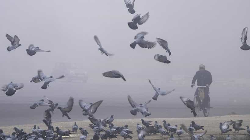 Karnataka Weather: ವಿಜಯಪುರ, ಬೀದರ್ನಲ್ಲಿ ಚಳಿಯೋ ಚಳಿ, ಕರ್ನಾಟಕದ ಈ ಜಿಲ್ಲೆಗಳಲ್ಲಿ ಕನಿಷ್ಠ ತಾಪಮಾನ ಹೆಚ್ಚಳ ಸಾಧ್ಯತೆ
