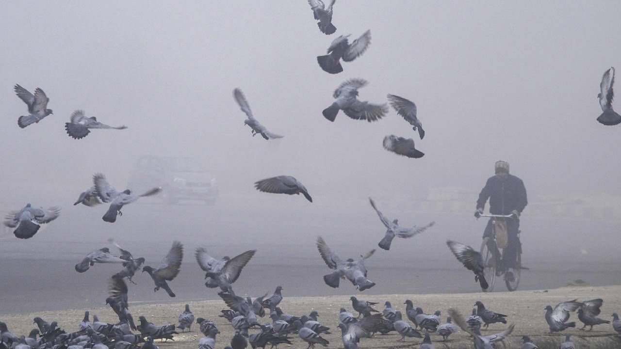 Karnataka Weather: ವಿಜಯಪುರ, ಬೀದರ್​ನಲ್ಲಿ ಚಳಿಯೋ ಚಳಿ, ಕರ್ನಾಟಕದ ಈ ಜಿಲ್ಲೆಗಳಲ್ಲಿ ಕನಿಷ್ಠ ತಾಪಮಾನ ಹೆಚ್ಚಳ ಸಾಧ್ಯತೆ